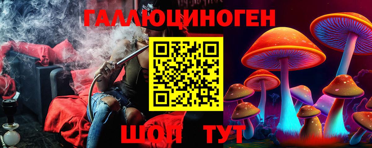 Галлюциногенные грибы MAGIC MUSHROOMS  Вход с VPN  Псилоцибиновые грибы Cubensis  Нурлат 